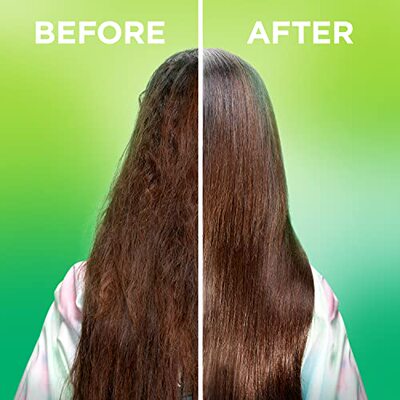 极速Garnier Frukctis Sleek & Shine Moroccan Sleek Oil Treatm