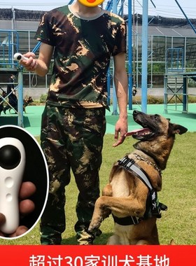 极速professional dog training artifact trainPing cat dog tra