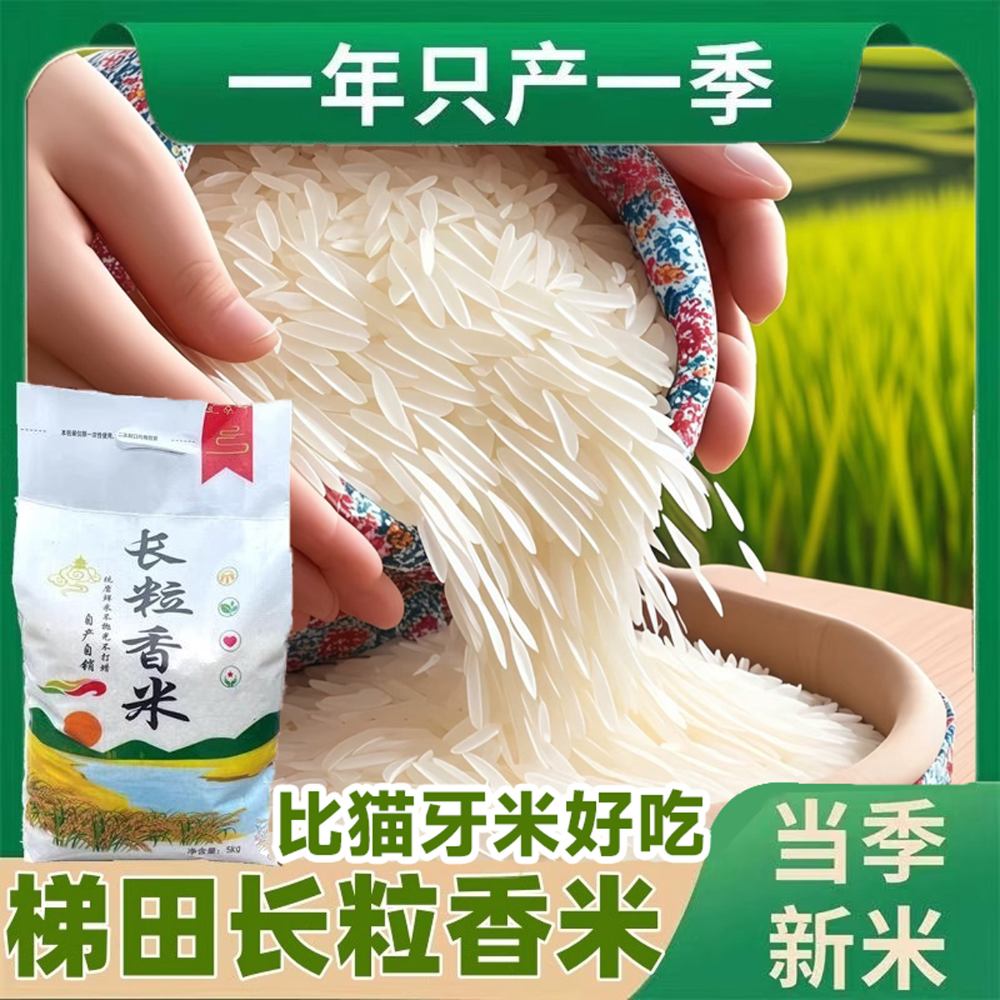 【新米上市】梯田长粒香米猫牙米