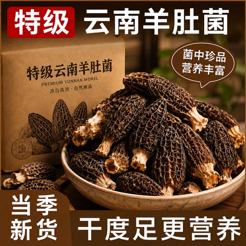 特级羊肚菌农家特产干货新鲜羊肚菌菇煲汤食材香菇非野生地方美味