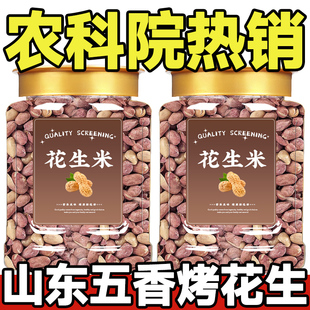 农科院热卖!山东五香烤花生米正宗山东莱西五香脱油烤花生蒜香