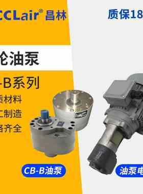 CB-B6齿轮泵4液压LWBZ油泵10B16BM20B25B32B40B50B63B80B100 125R