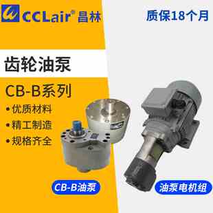 125R B6齿轮泵4液压LWBZ油泵10B16BM20B25B32B40B50B63B80B100