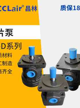 YB-D4液压2.5油泵6.3叶片泵10 12 16 20 25 32 40 50YBD63 80 100
