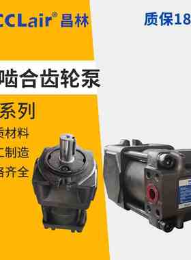 NT2齿轮泵NB2-G10F NB3-G16F C160F D250F G20F NB5-C32F140 G50F