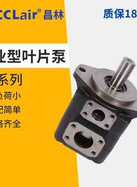 T6DC双联T6E液压T6CC叶片泵T6ED EC T6C-017 020 022 025 028 031