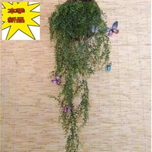 捆绑农村遮挡摆i设软隔断30竹编园艺垫子草甸榻榻米稻草稻谷草席