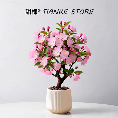 【带花苞发货】海棠花盆栽