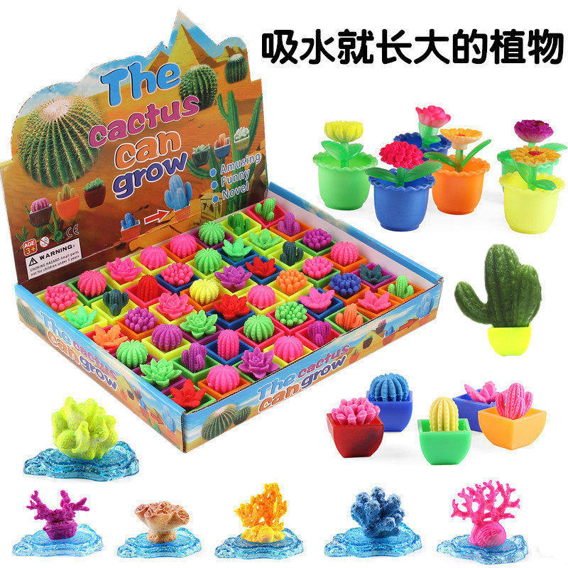泡水膨胀玩具多肉仙人掌仿真植物儿童创意新奇特泡水变大礼品,玩具/童车/益智/积木/模型,其它早教玩具类,淘宝优惠券,粉丝福利购,淘宝优惠卷