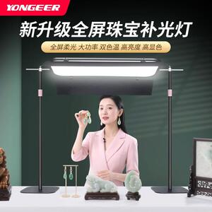 YONGEER ZB-800摄影灯珠宝首饰打光灯直播间展示桌面拍摄补光灯