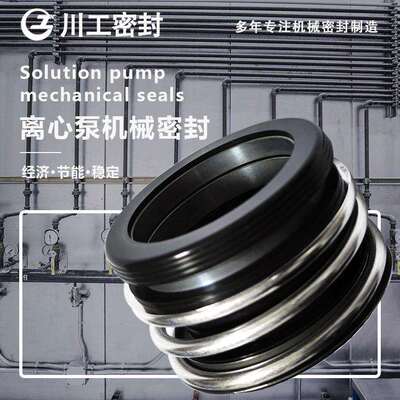 机械密封DFG150-250A/2-DFG200-315(I)T/4/55非集装国产