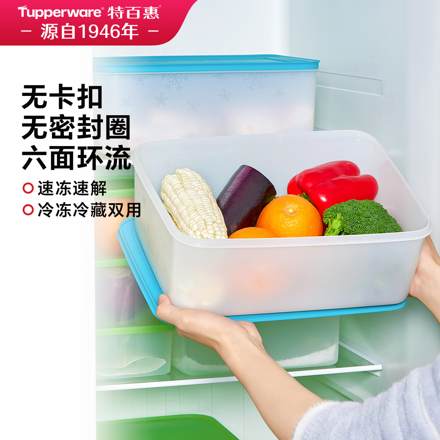 特百惠保鲜盒食品级水果便携外出便当盒冰箱专用塑料密封收纳家用
