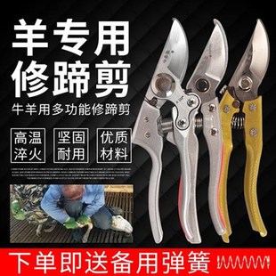 修羊蹄子剪刀羊修蹄刀兽用剪蹄刀羊修蹄工具剪脚R趾剪子刀养羊用