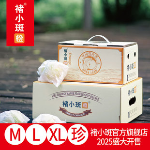 正宗多汁云南高原新鲜水果褚氏花斑橙纯甜哀牢山冰糖橙高糖礼盒装