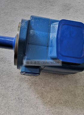 极速新叶片泵 油泵i 25V21A高压 35V 45V50 注塑机鞋机 油压机液