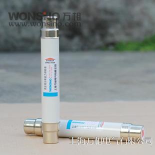 16A 20A 25A 万相XRNT 40A高压熔断器 10A G31.5A 带撞针分 10KV