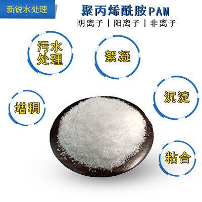 洗沙厂专用聚丙烯酰胺pam絮凝剂阴离子污水处理药剂R沉淀絮凝 25k