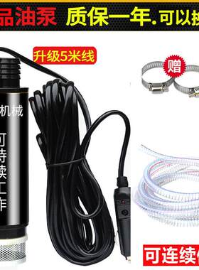 抽油泵柴油12V电动小型自吸泵24伏点烟器加油枪抽油机抽水泵