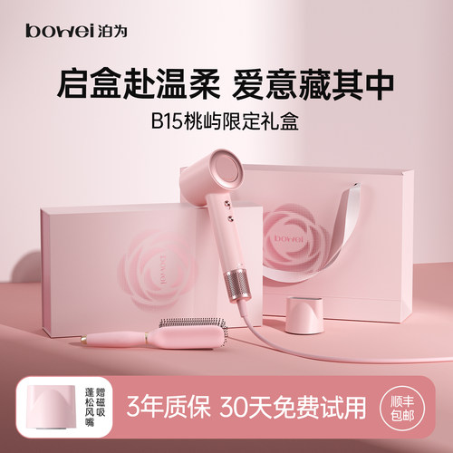 B15桃夭粉高速吹风机情人礼物