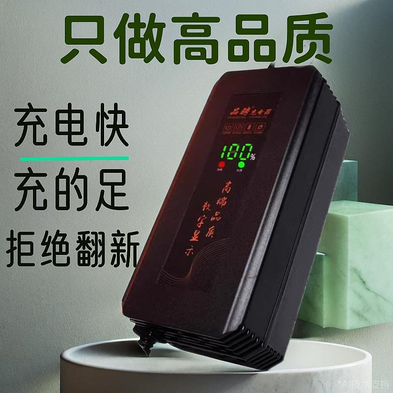 电动车充电器604872伏自动断电三孔插头32安三轮车电瓶车通用