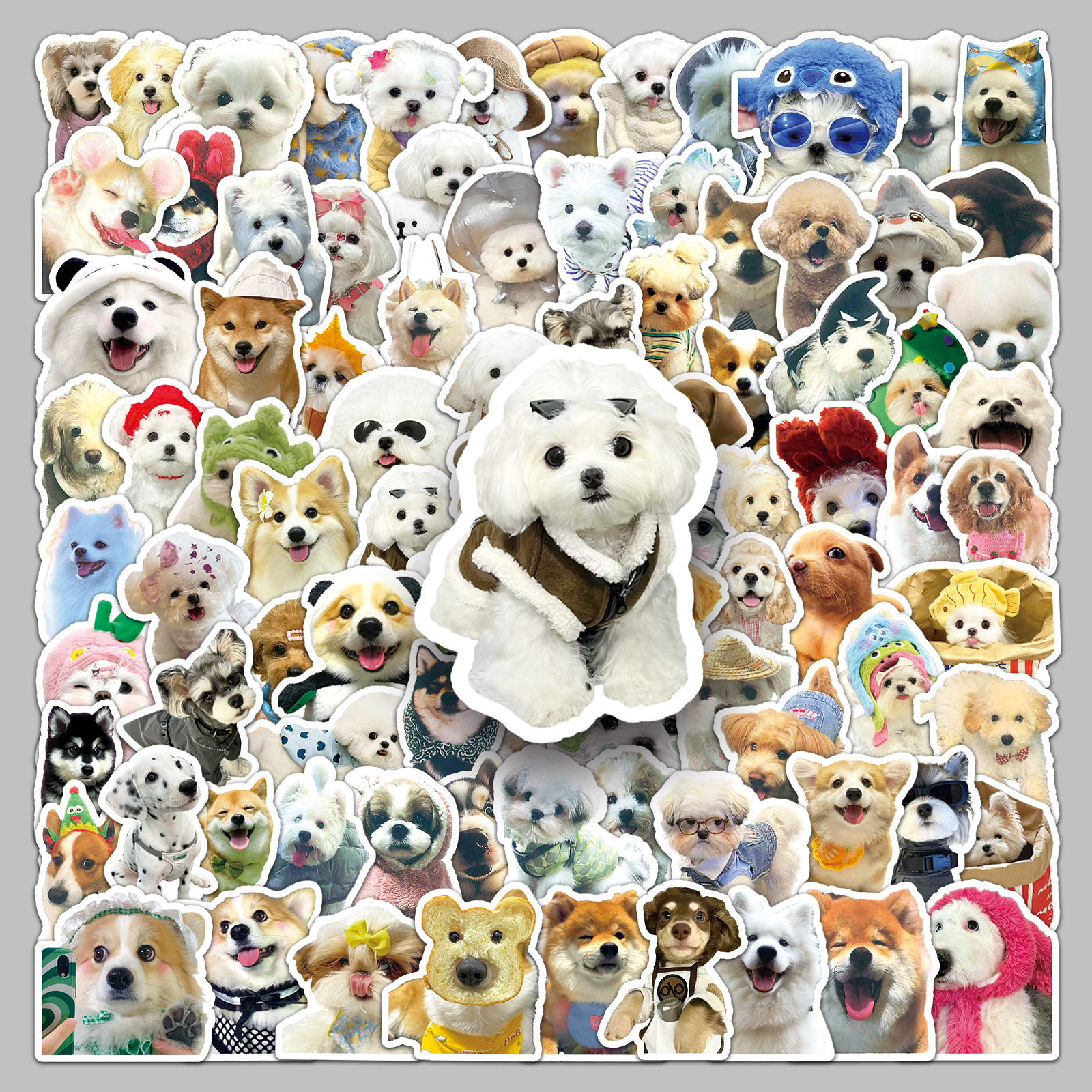 100张可爱狗狗柴犬贴纸防水装饰
