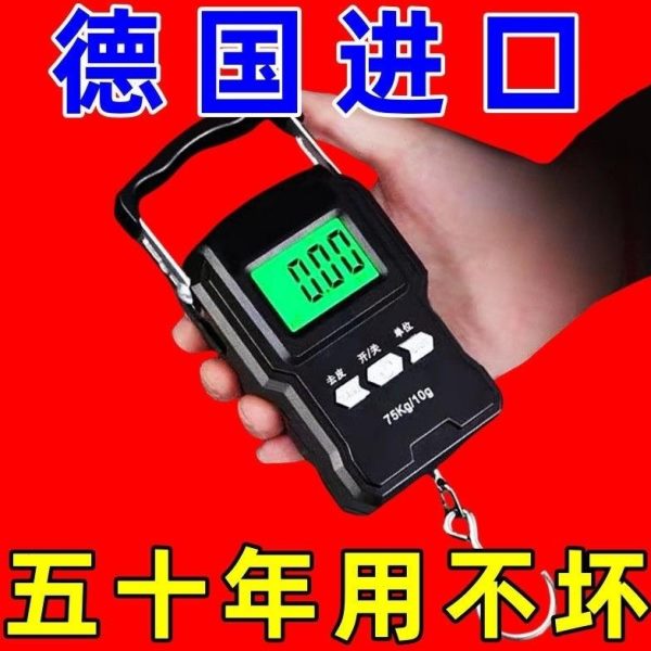 高精度迷你称家用小型行李买菜8克便携式弹簧8手提电子秤9精准勾