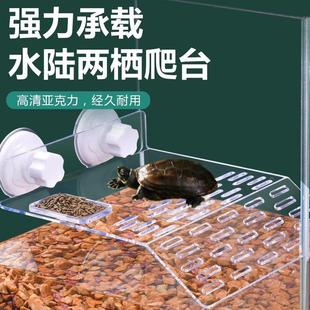 乌龟晒台爬台鱼缸龟缸爬坡亚克力吸盘高水位休息深水浮岛晒背浮台