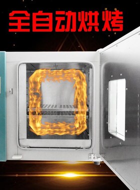 全自动低SY-4A温烘培箱 五谷杂C粮烤箱 品果蔬烘食机功能多烘烤干