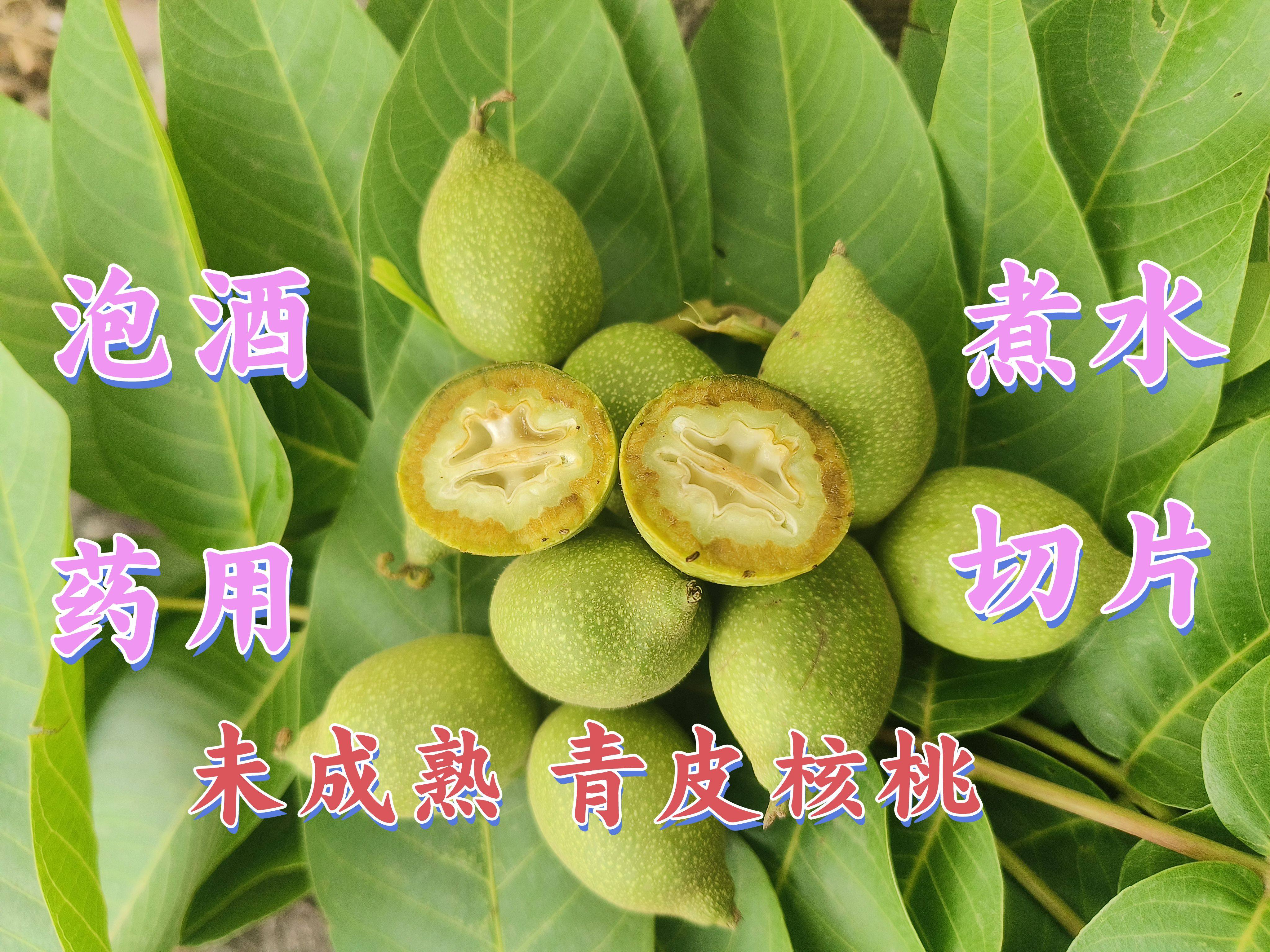 2026年新鲜现摘药用带壳青皮核桃泡酒嫩果生核桃