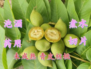 2026年新鲜现摘药用带壳青皮核桃泡酒嫩果生核桃