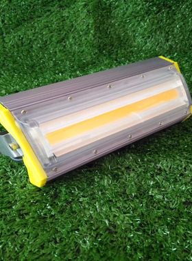 led投光灯射灯室外户外照明广告防水50w100W照树30w金黄绿色 红色