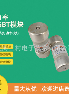 全新熔断器保险丝FR14AR69V12/L1027328  FR14AR69V16/M1027329
