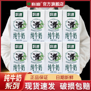 科迪新升级清真纯牛奶儿童学生营养早餐奶纯牛奶