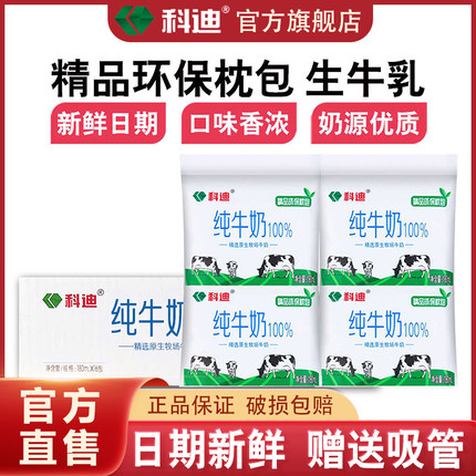科迪纯牛奶官方旗舰店精品枕包180ml儿童学生营养早餐奶整箱批发