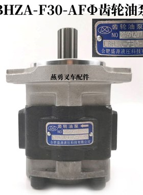 叉车液压油泵 CBHZA-F30-AF齿轮油泵适用杭叉R50 RU60 R70齿轮