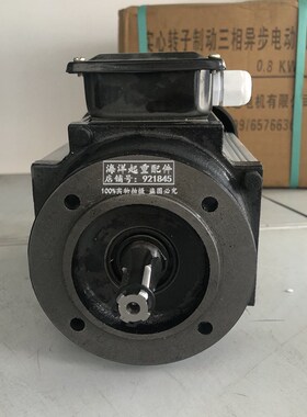 XINDATONG铝壳软起动电机YSE80A2-4-X 0.8KW电动葫芦跑车驱动电机