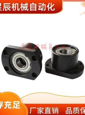 BFP21-6906ZZ 6006ZZ 6206 6007 6207ZZ-L35 L40 LU50 L60带座轴