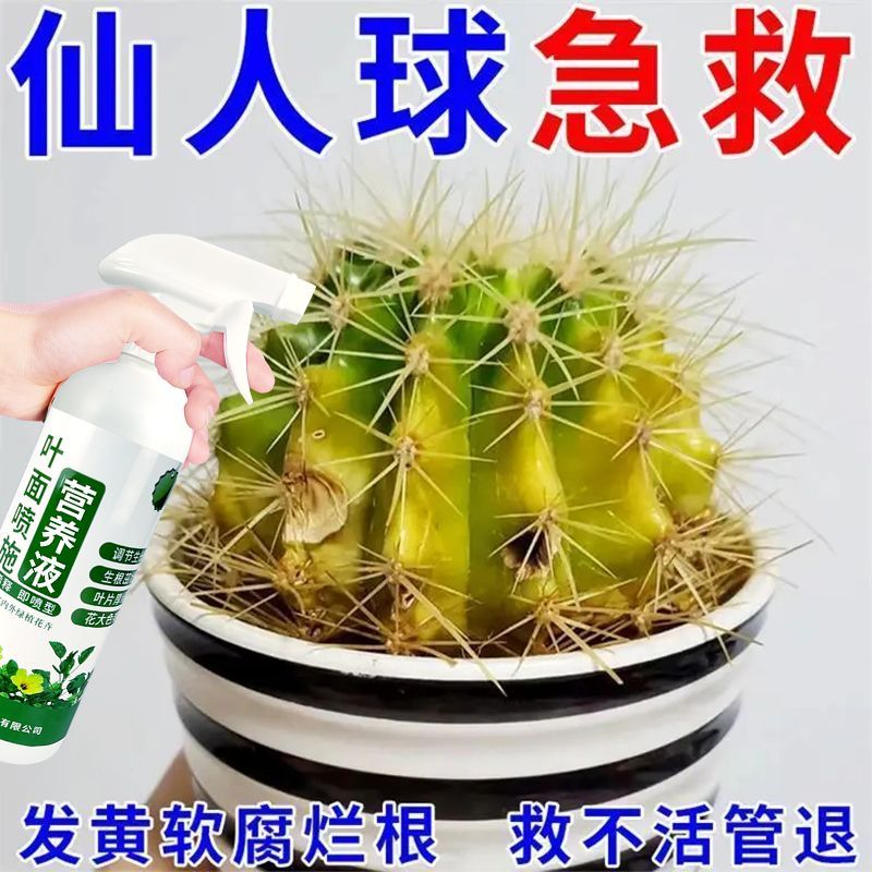 花草营养液通用仙人球营养液催花仙人掌肥料防烂根发软植物活力素