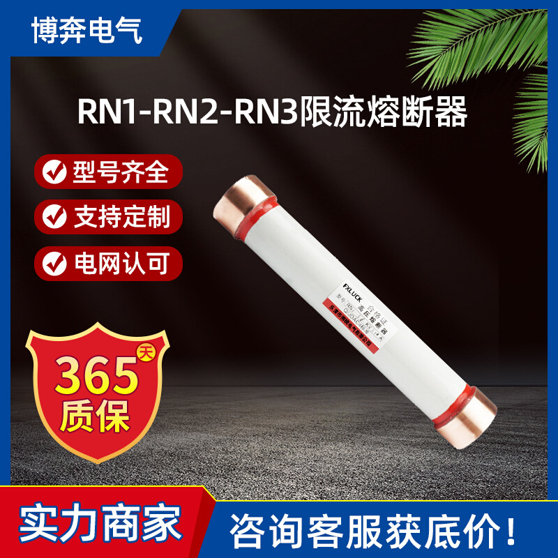 RN1/RN2/RN3RN4户内高压限流熔断器10KV陶瓷保险管0.5-30A75A200A