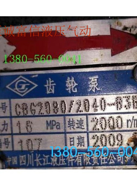 定制:四川长江液h压件有限公司CBG2080/2040-B3BL龙工配套油泵