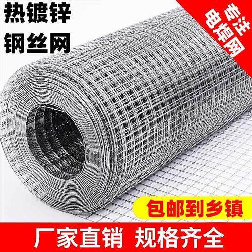速发热浸镀锌铁丝网围栏养殖护栏网养鸡H防鼠钢Q丝W网加粗电焊网