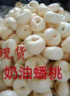 蒙阴奶油蟠桃现摘纯甜奶油白蟠桃带有清香味的奶油蟠桃顺丰包邮