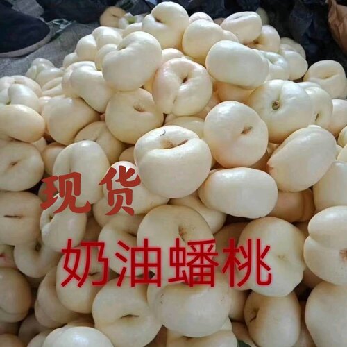 蒙阴奶油蟠桃现摘纯甜奶油白蟠桃带有清香味的奶油蟠桃顺丰包邮