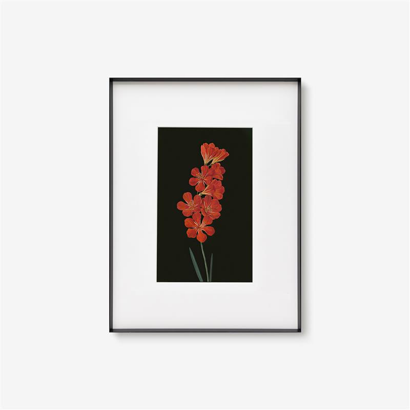 加安加丽法式中古客厅装饰画高级感植物花卉挂画北欧简约书房壁画图片