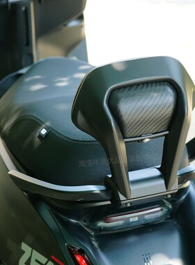 适极核电动d车AE4se/pro/MAX铝合金扶手靠背后座靠垫AE5i改装配件