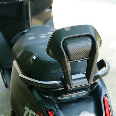 适极核电动d车AE4se/pro/MAX铝合金扶手靠背后座靠垫AE5i改装配件