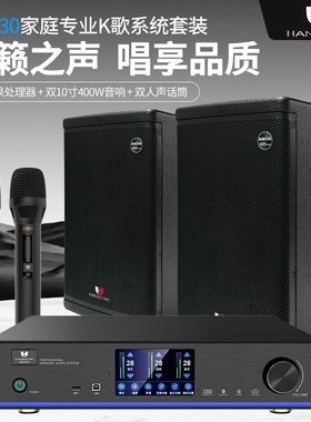 汉诺威亚km330家庭影院音响功放客厅KTV音箱10英寸会议卡拉ok音响