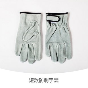 虹越 防b刺园艺手套 皮质防扎防滑耐用护臂拌土修剪 短款长筒/带