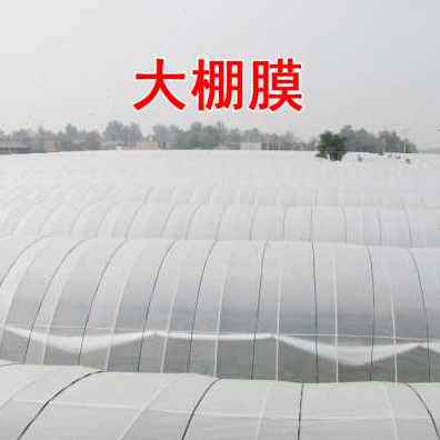 新款新白色塑料薄膜透明加厚大棚膜养殖膜塑料布塑料纸农膜地膜品