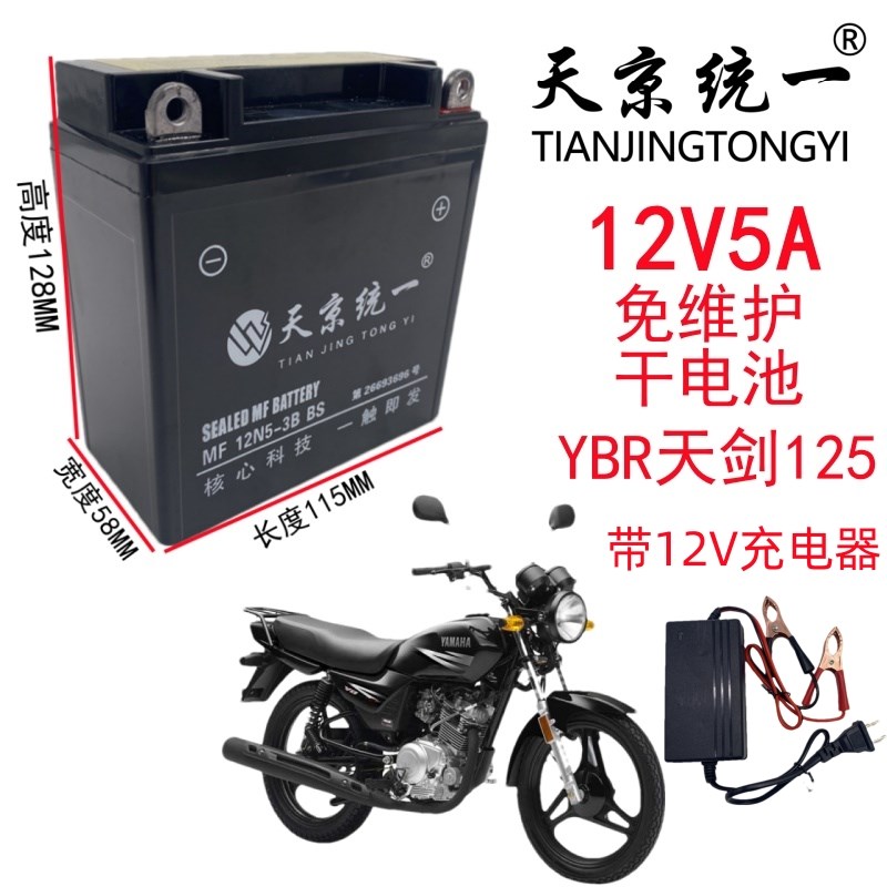 雅马哈125天剑天戟YBR/JYM125摩托车统一免维护蓄电池12V5A干电瓶